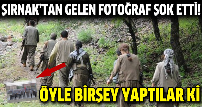 Şırnak'tan gelen PKK'lıların fotoğrafları şok etti