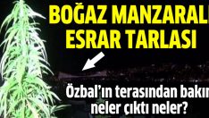 Eray Özbal’ın terasından esrar fidanı çıktı