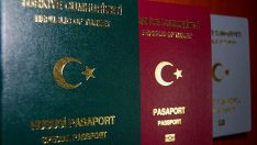 2013’te kaç kişi pasaport sahibi oldu?