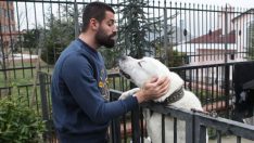 Volkan Demirel’den fotoğraflı köpek açıklaması