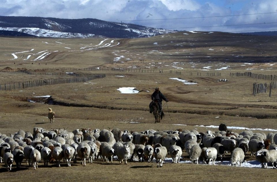 Orhun Yazıtlarına ev sahipliği yapan Moğolistan kültür gezisi yapmak isteyenler için fırsatlar sunuyor