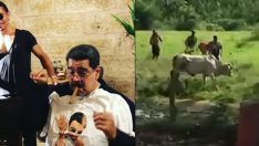 Maduro Nusret’te etleri aşırırken kendi halkı ineği parçalıyor