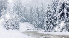 Kocaeli ve Bolu’ya yılın ilk karı yağdı!