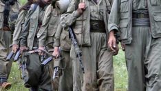 PKK’nın üst düzey yöneticisi sağ olarak ele geçirildi