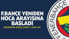 Fenerbahçe yeniden Teknik Direktör arayışına başladı