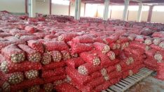 İstiflenmiş 1300 ton kuru soğan ele geçirildi