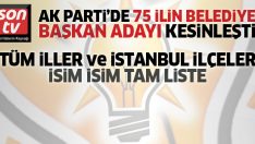 AK Parti’de 75 ilin 2019 belediye başkan adayları listesi ve AK Parti İstanbul ilçe belediye başkan adayları (2019 tam liste)