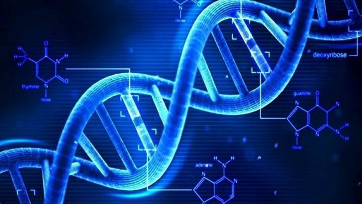 Uçağa binmek DNA’nın kırılmasına yol açar mı?