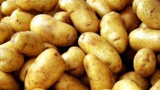 Fiyatı yükselen patates için İngiltere’den uyarı: Dikkat!