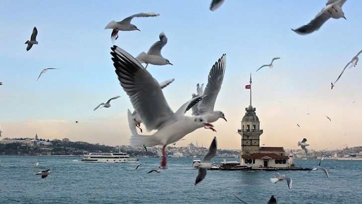 Meteoroloji uyardı! Sıcaklıklar düşecek… İstanbul, Ankara, İzmir hava durumu