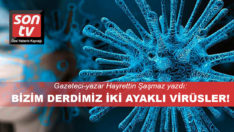 Gazeteci Hayrettin Şaşmaz analiz etti: Kadrolu virüsler!
