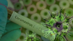 Kan grubuna göre Koranavirüs bulaş riski değişiyor