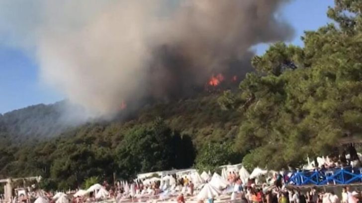 Heybeliada’daki orman yangınıyla ilgili 3 gözaltı