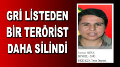 Gri listede aranan terörist Sultan Oruç öldürüldü